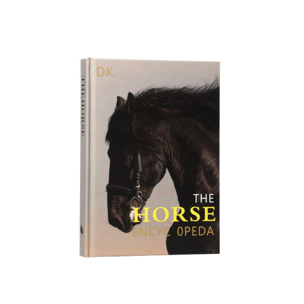 Decorative Book – Hard Cover English Book - Image 7